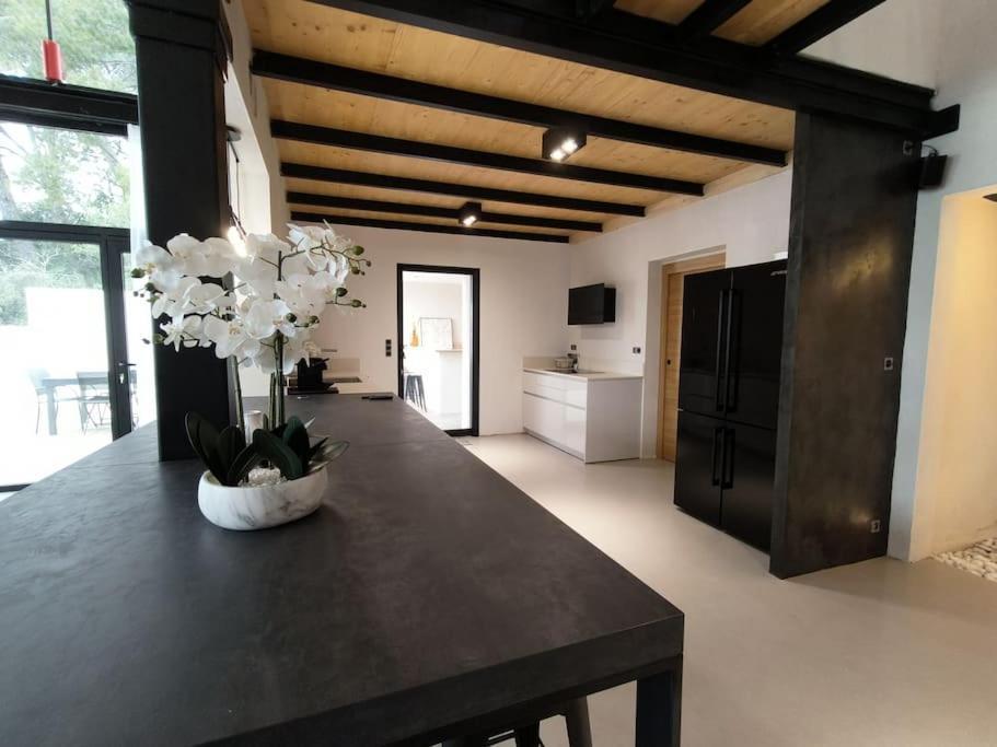 Villa Industrial Luxury Nimes & Arles à Beaucaire  Extérieur photo